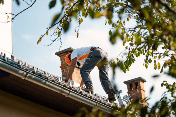 Best Storm Damage Roof Repair  in Quincy, MI