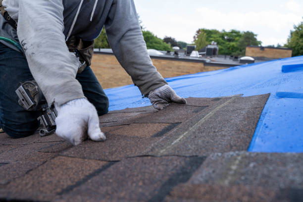 Best Storm Damage Roof Repair  in Quincy, MI