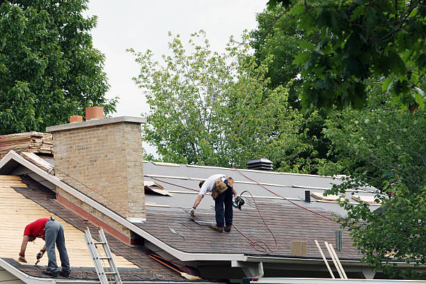Best Roofing Contractor Near Me  in Quincy, MI