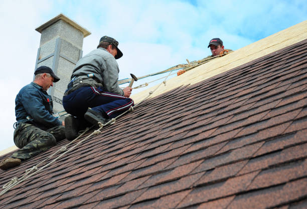 Best Residential Roofing Contractor  in Quincy, MI